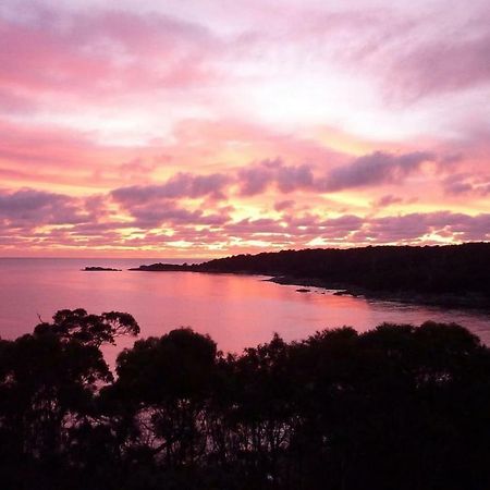 The Loft @ Bay Of Fires Seascape Apartman Binalong Bay Kültér fotó